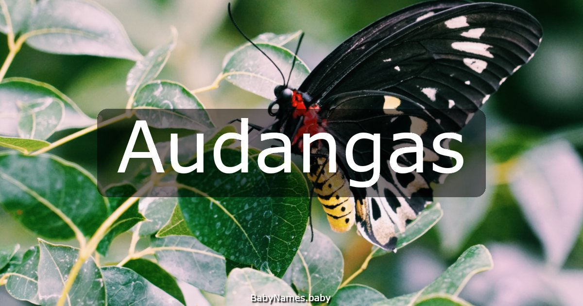 Audangas