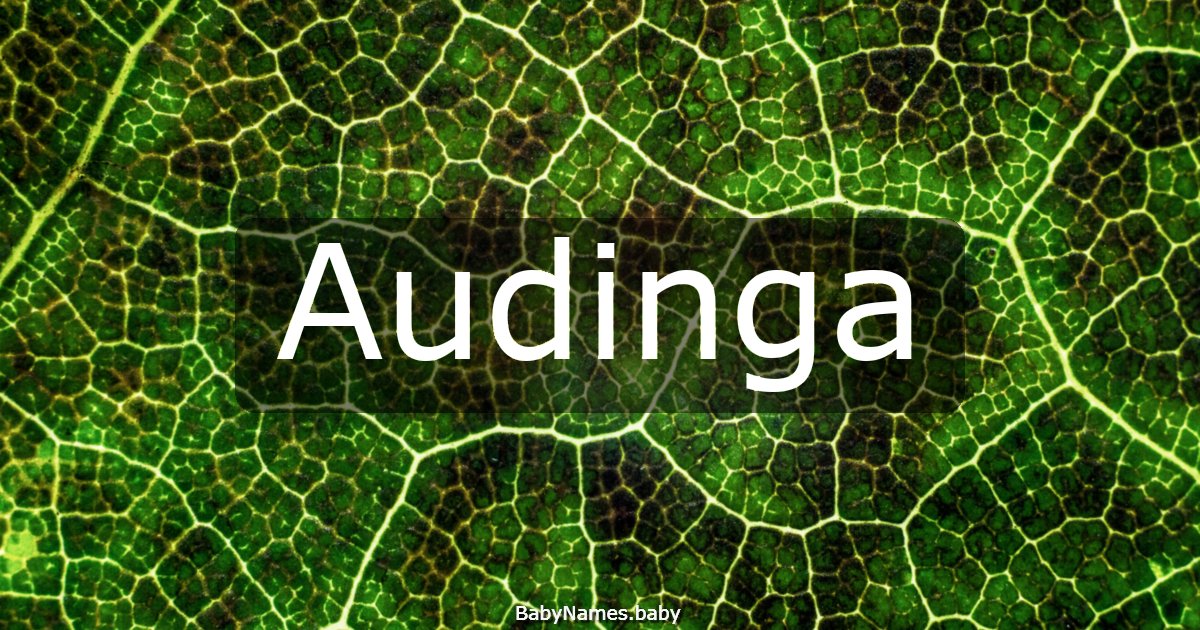 Audinga