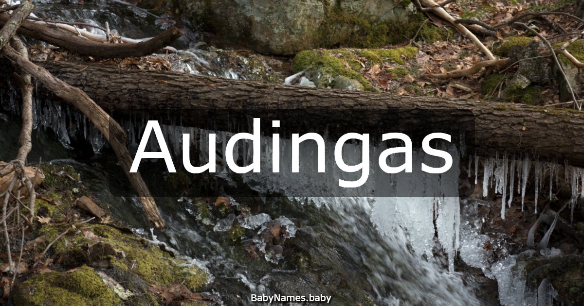 Audingas