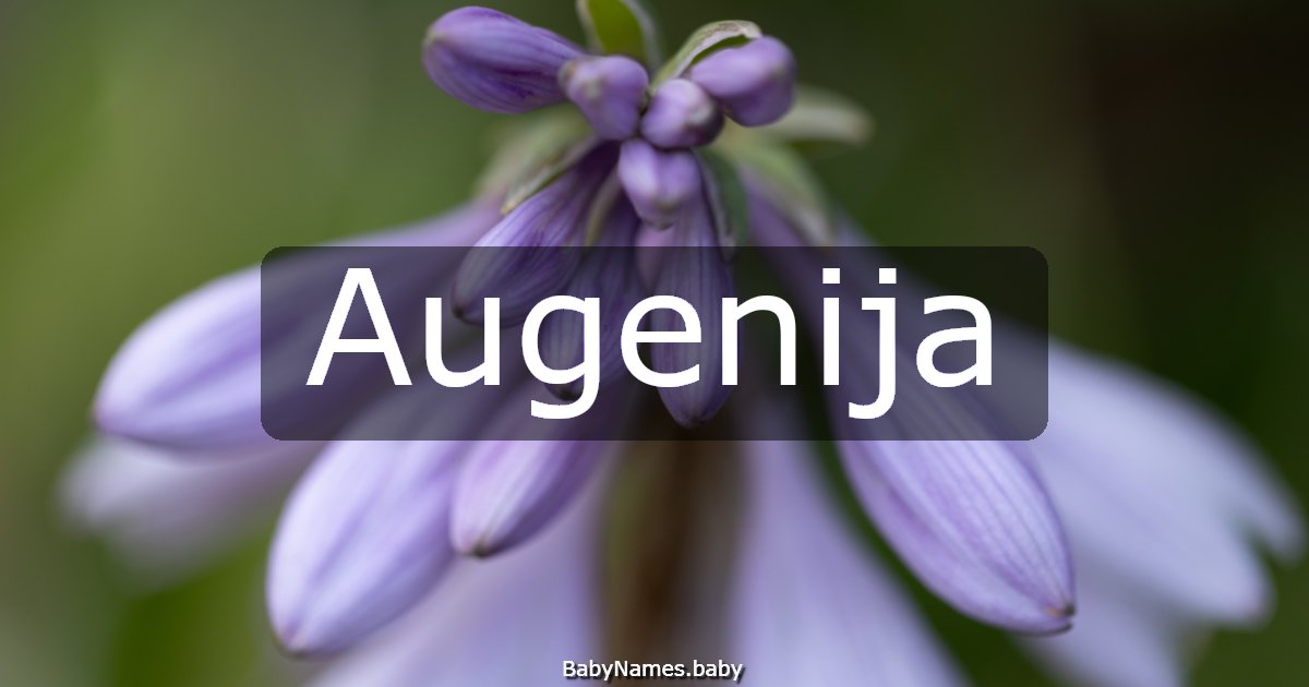 Augenija