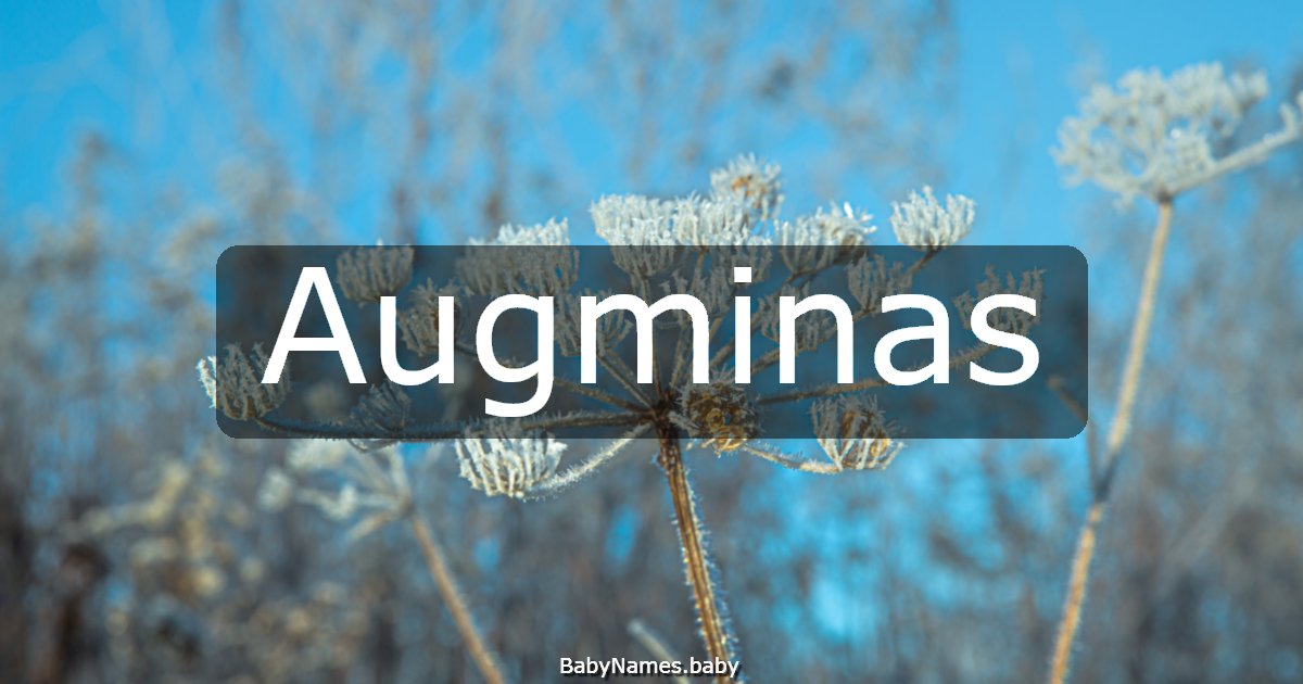 Augminas