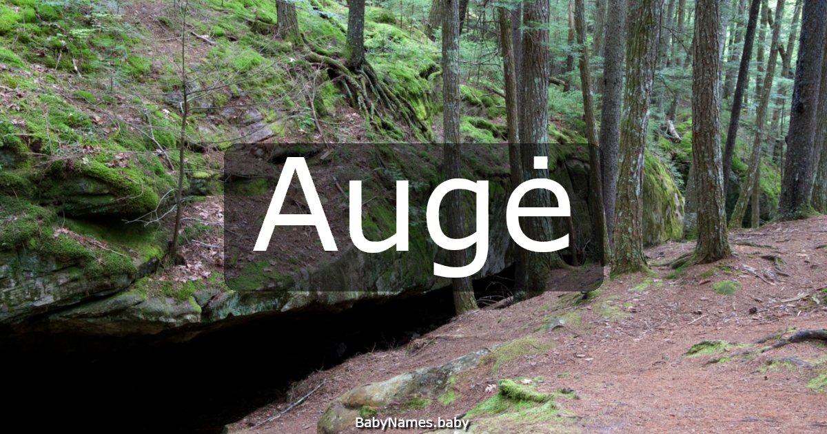 Augė