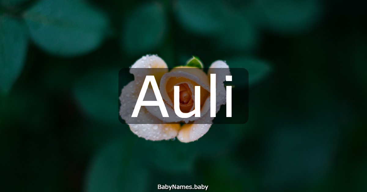 Auli