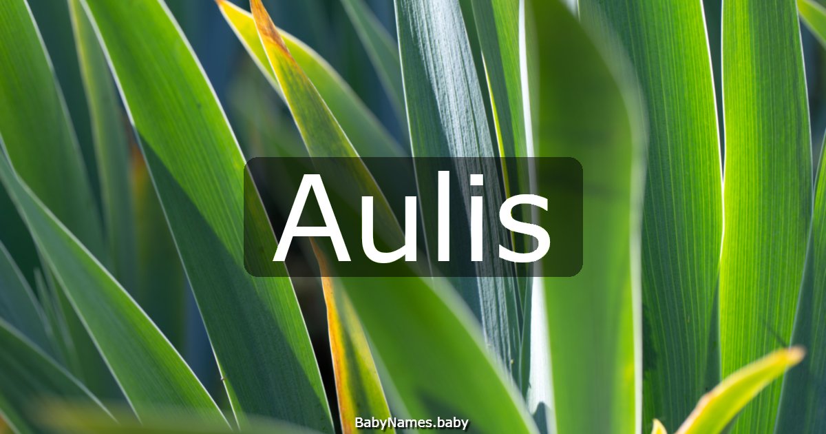 Aulis