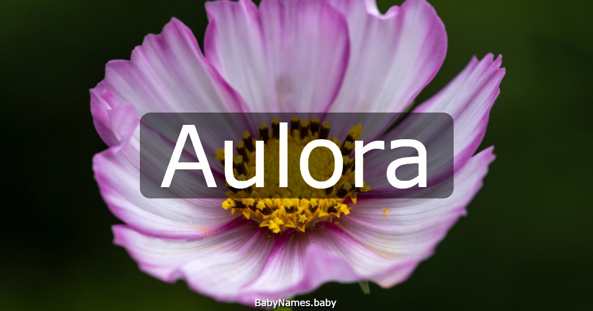 Aulora