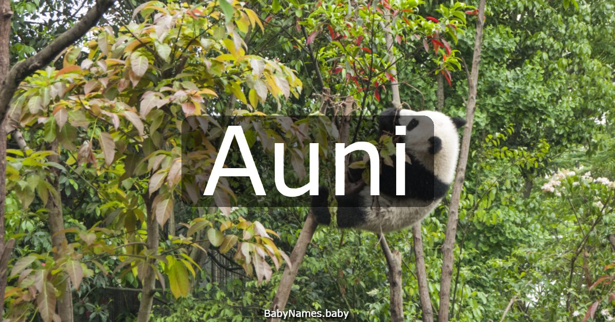 Auni