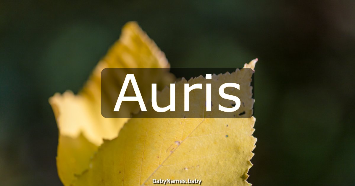 Auris