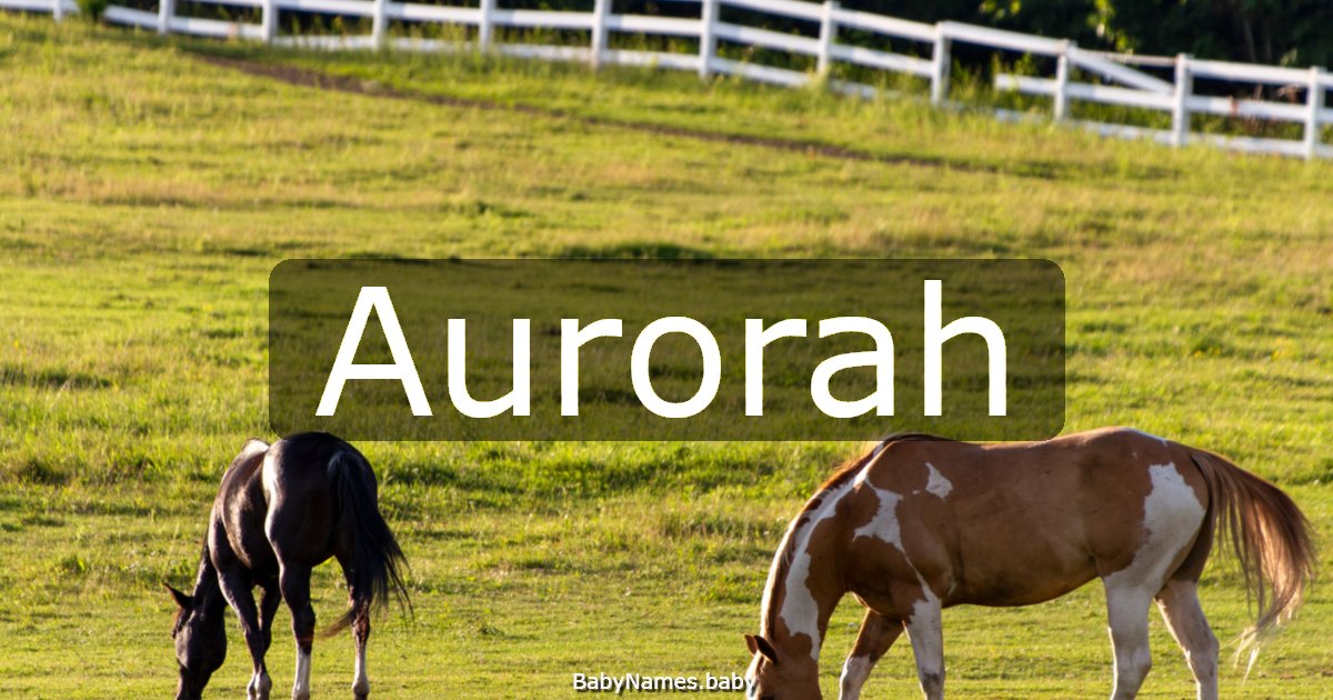 Aurorah