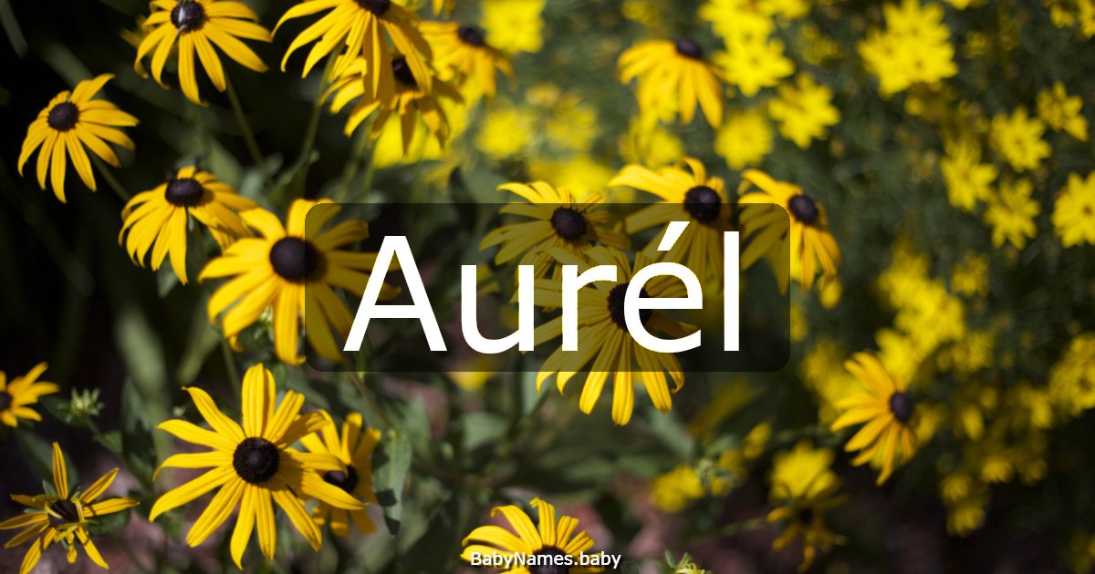 Aurél