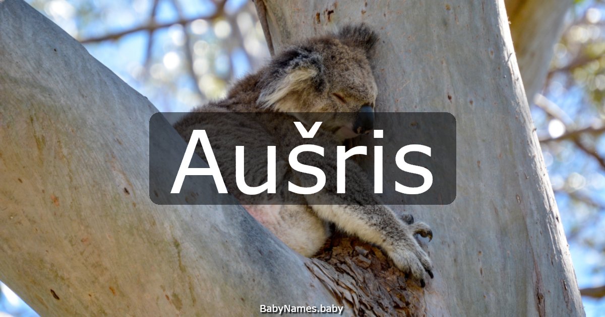 Aušris