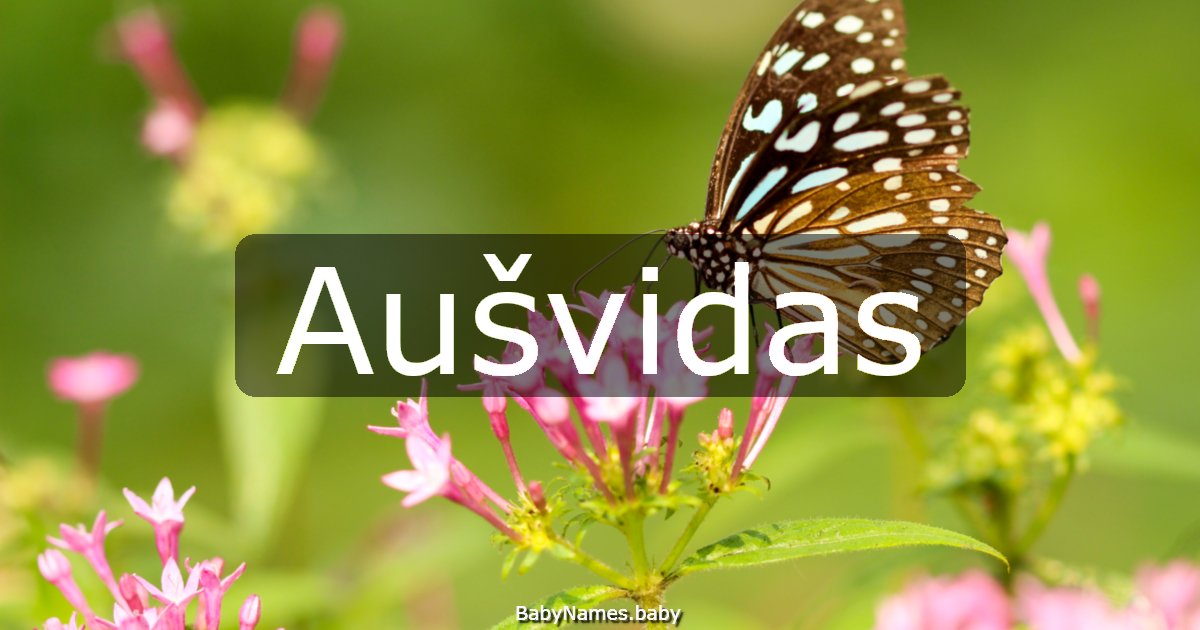 Aušvidas