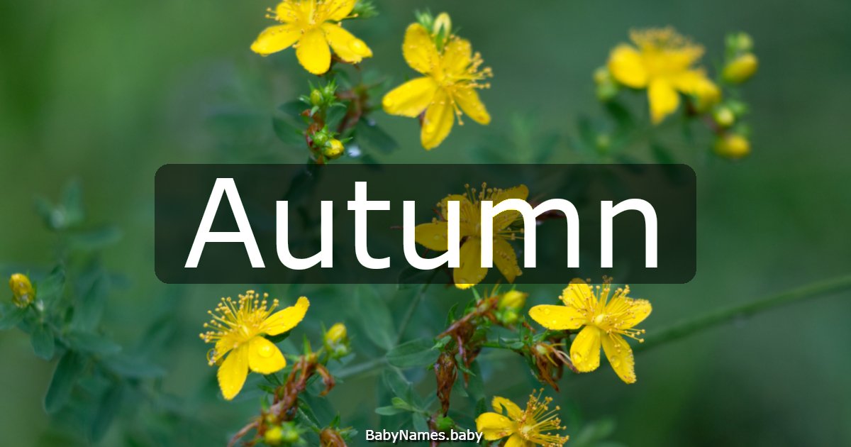 Autumn