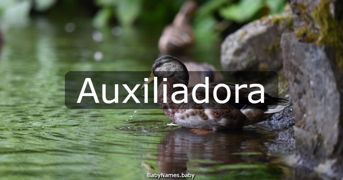 Auxiliadora
