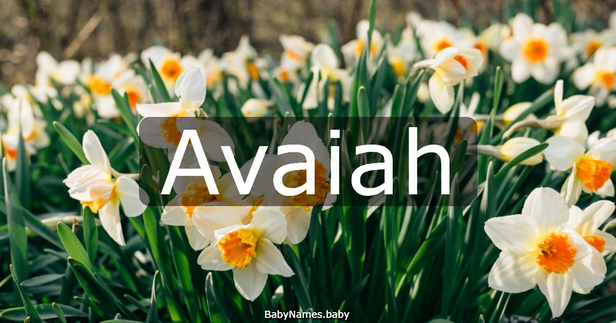 Avaiah