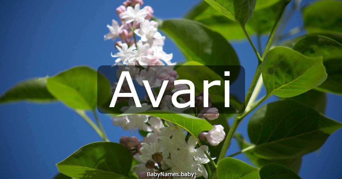 Avari