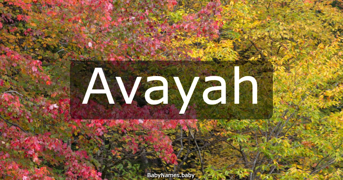 Avayah