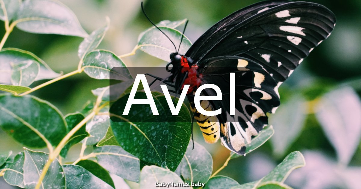 Avel