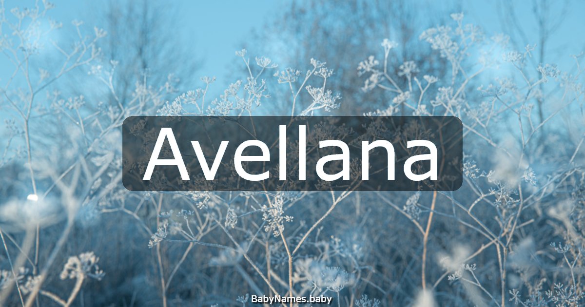 Avellana