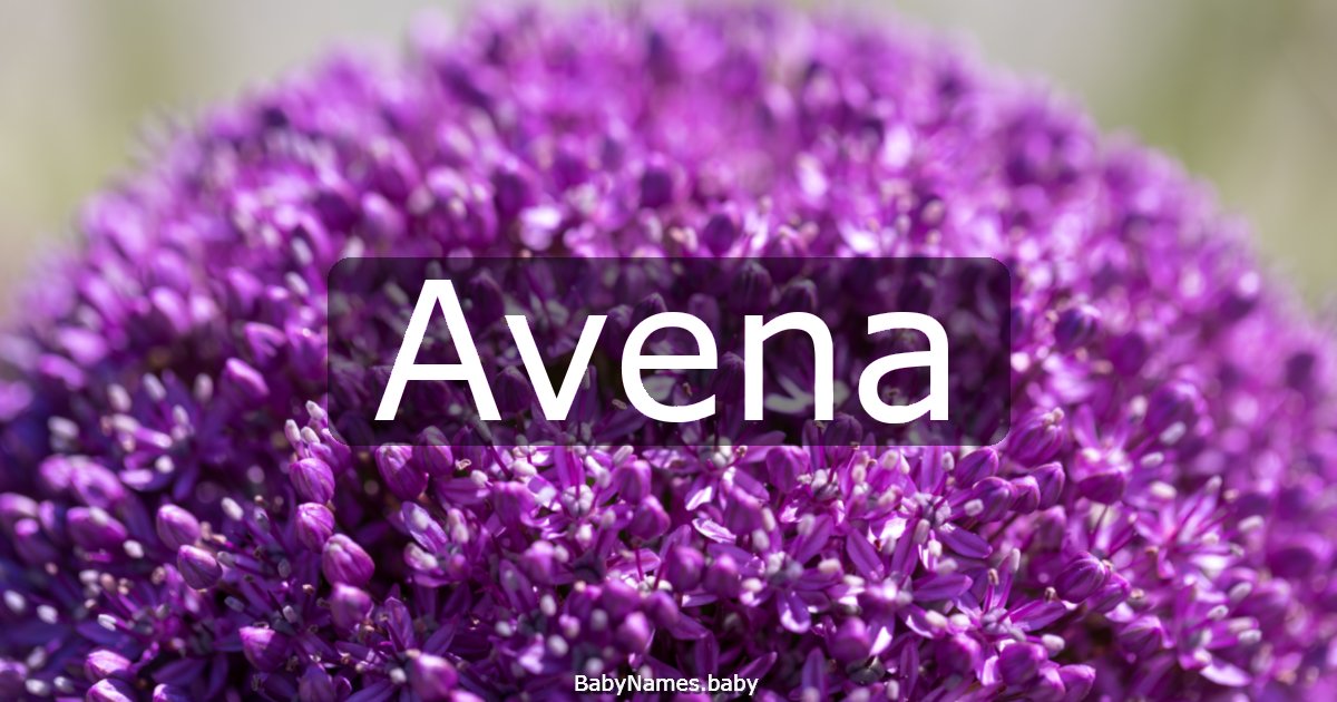 Avena