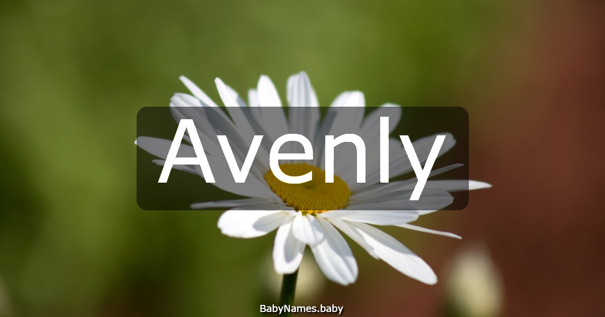 Avenly