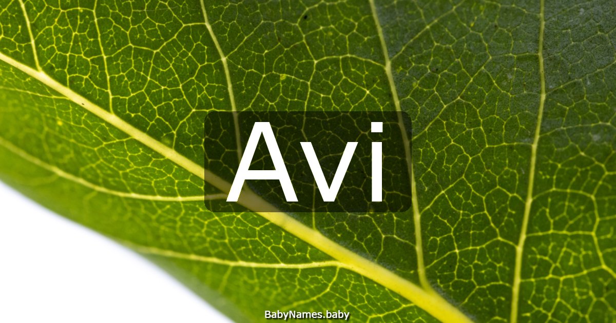 Avi