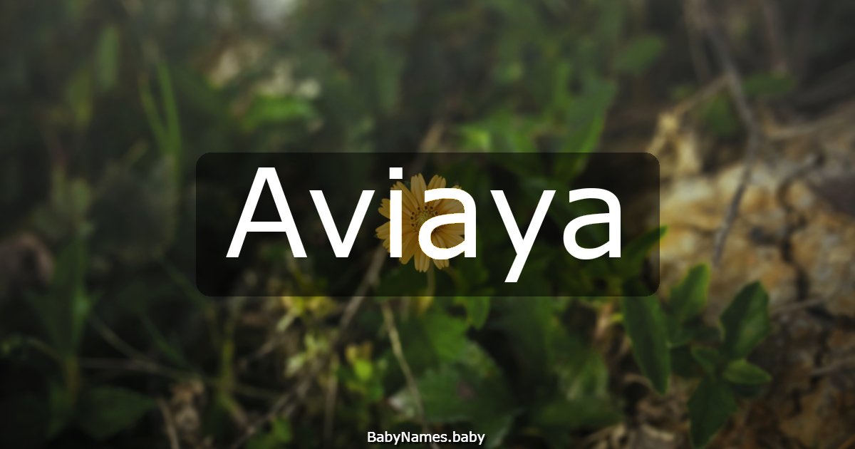 Aviaya