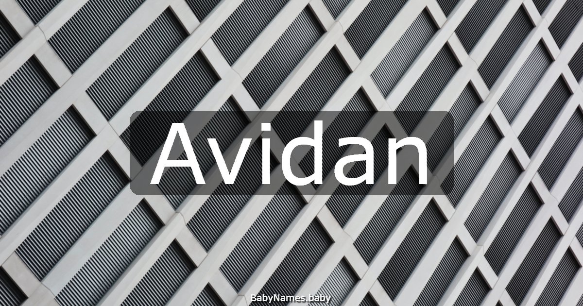 Avidan