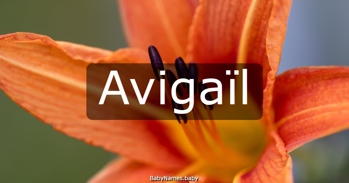 Avigaïl