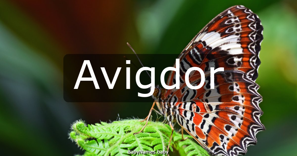 Avigdor
