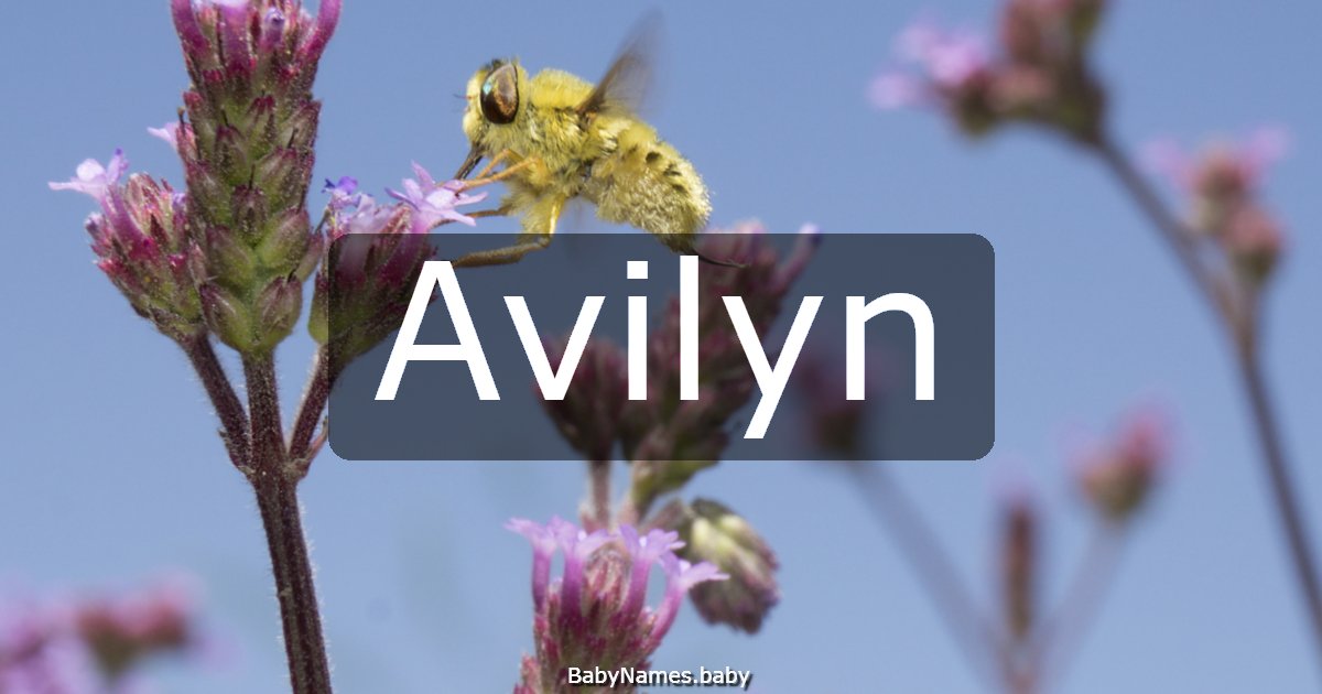 Avilyn