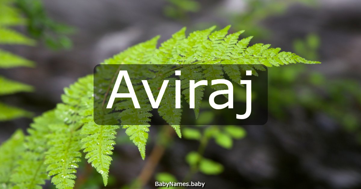 Aviraj