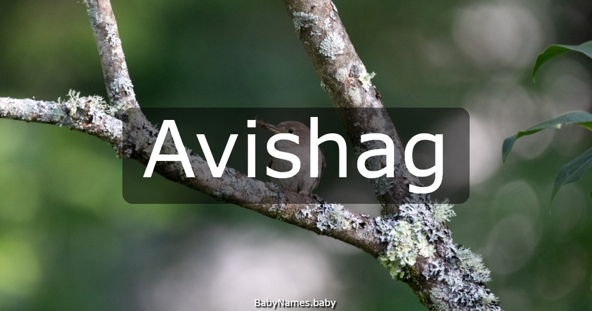 Avishag