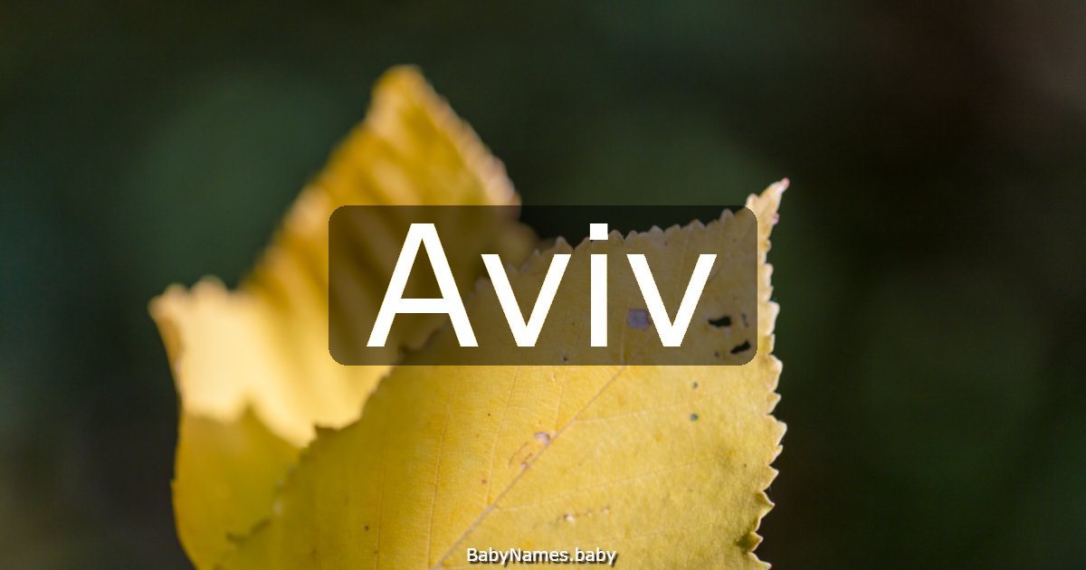 Aviv