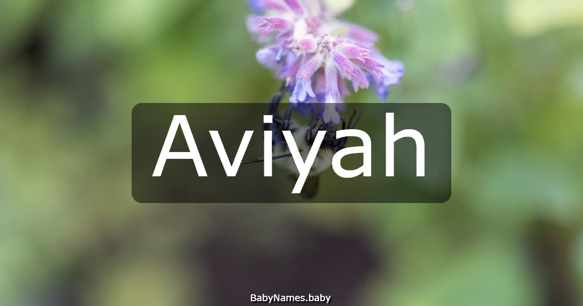 Aviyah