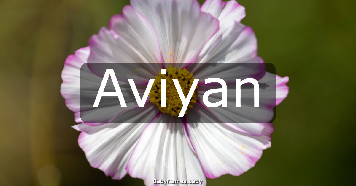 Aviyan