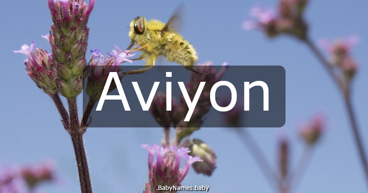 Aviyon