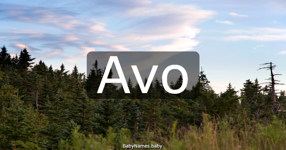 Avo