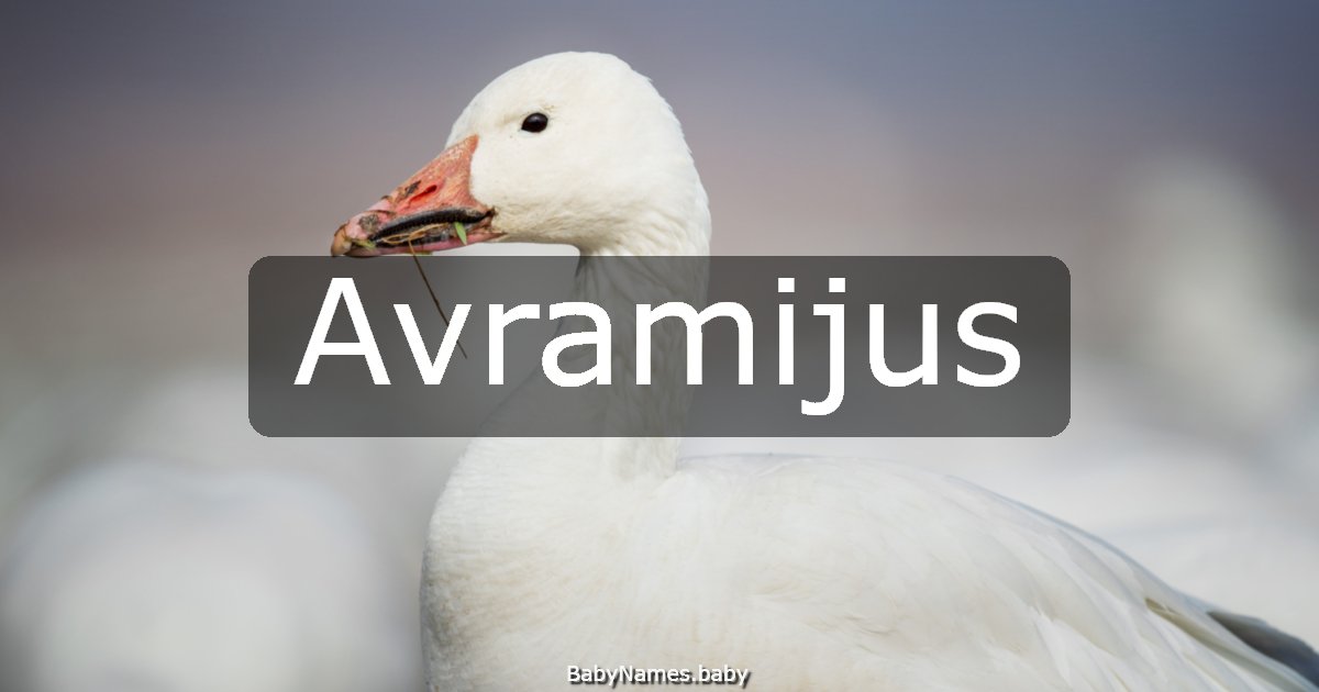 Avramijus