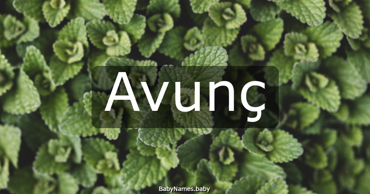 Avunç