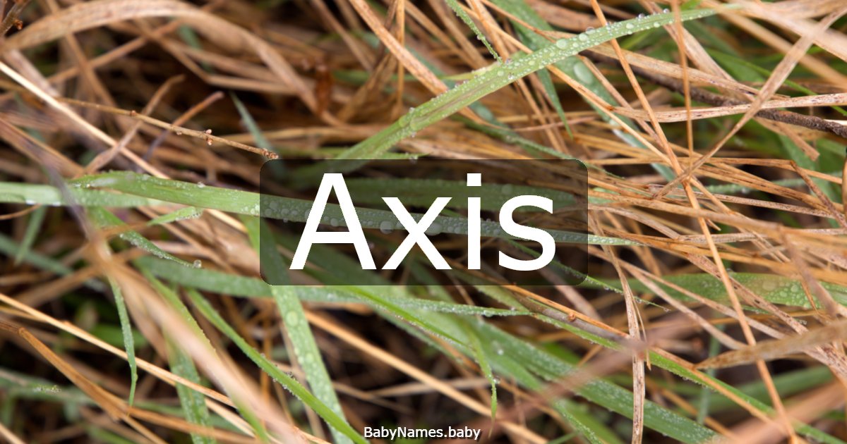 Axis