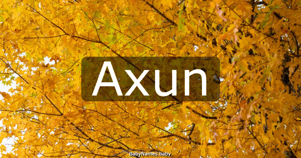 Axun
