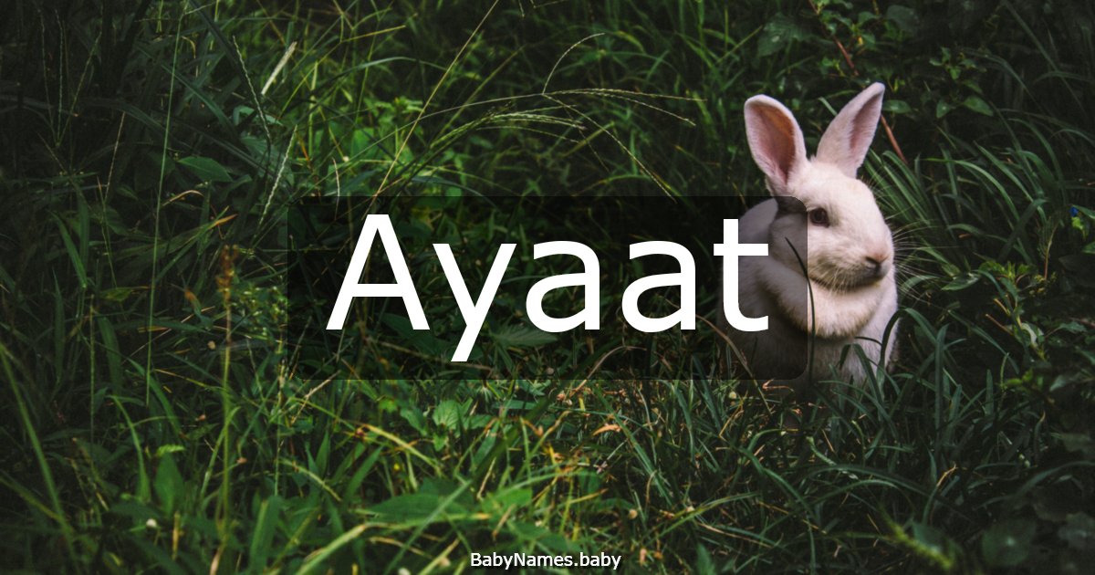 Ayaat