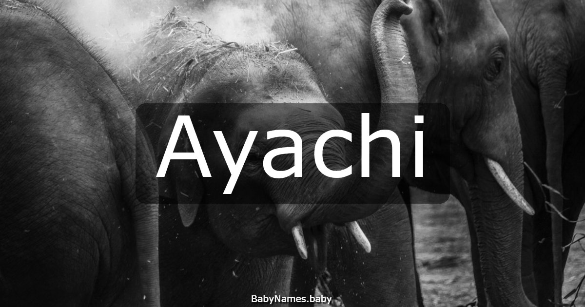 Ayachi