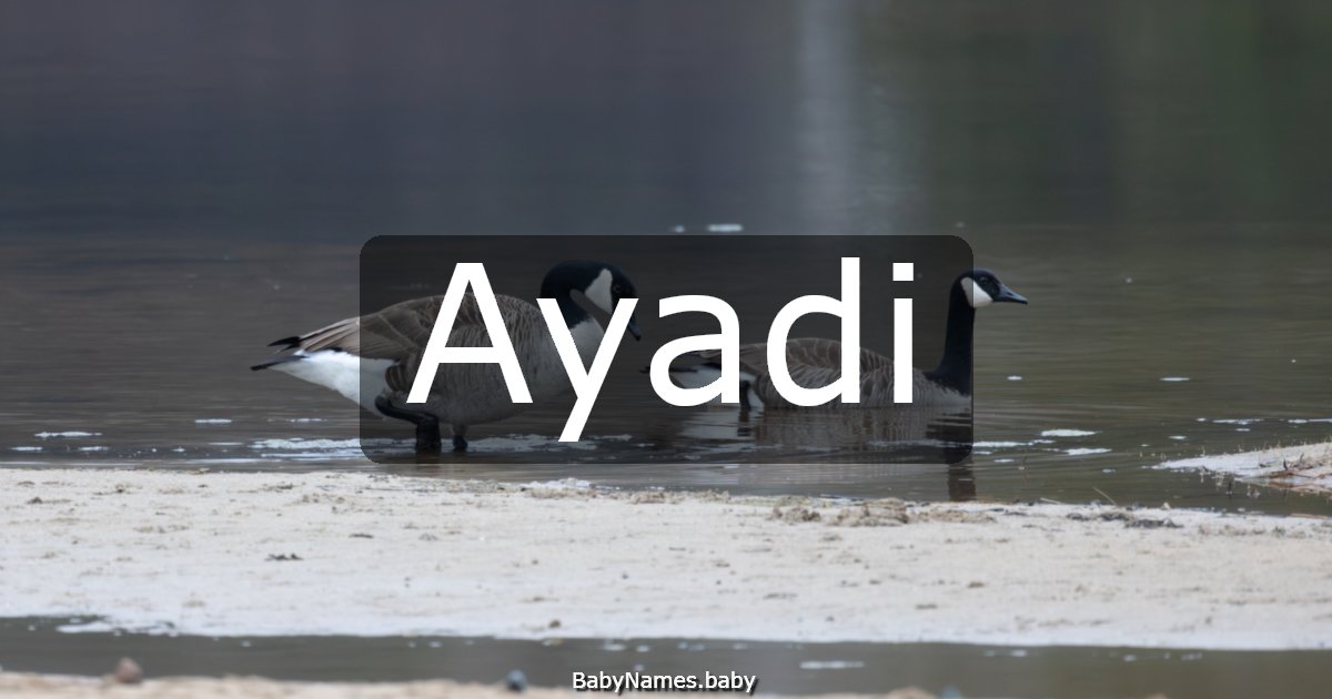 Ayadi