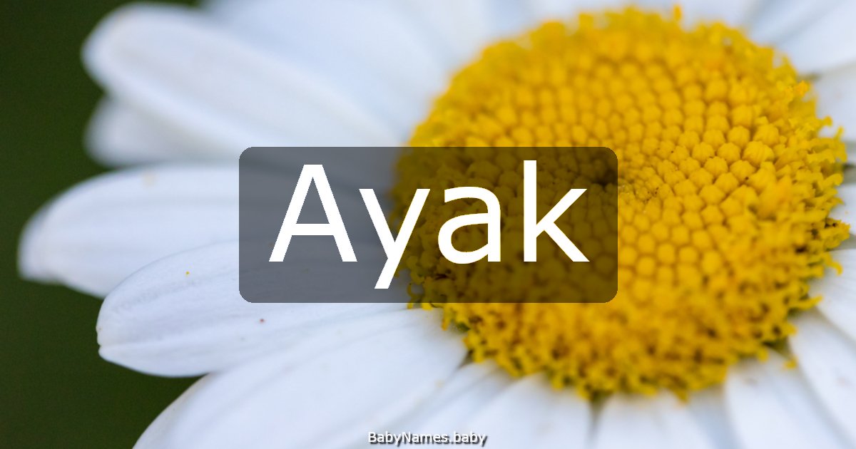 Ayak