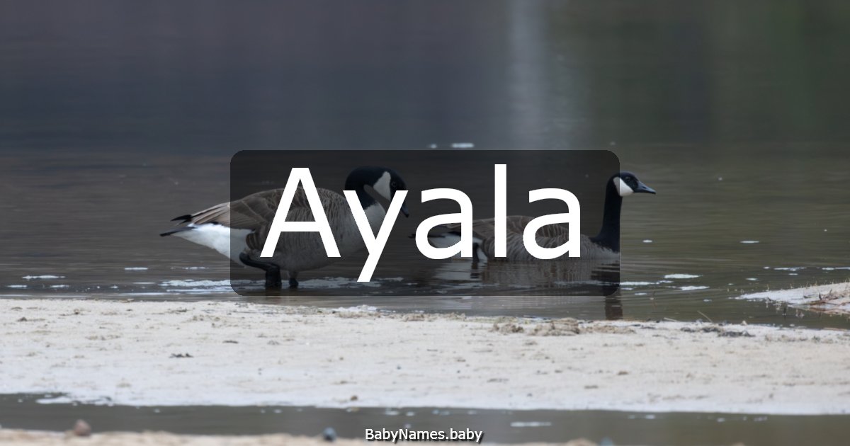 Ayala