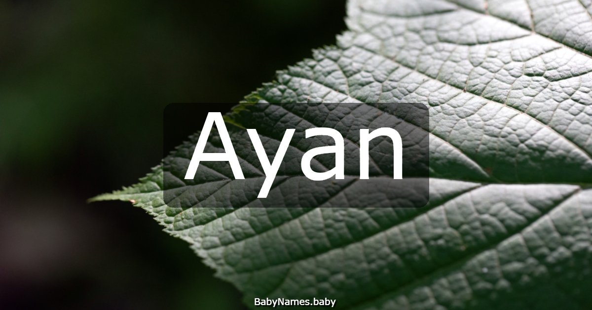 Ayan