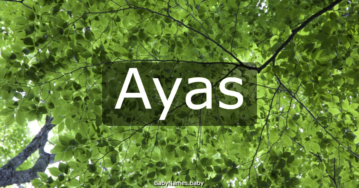 Ayas