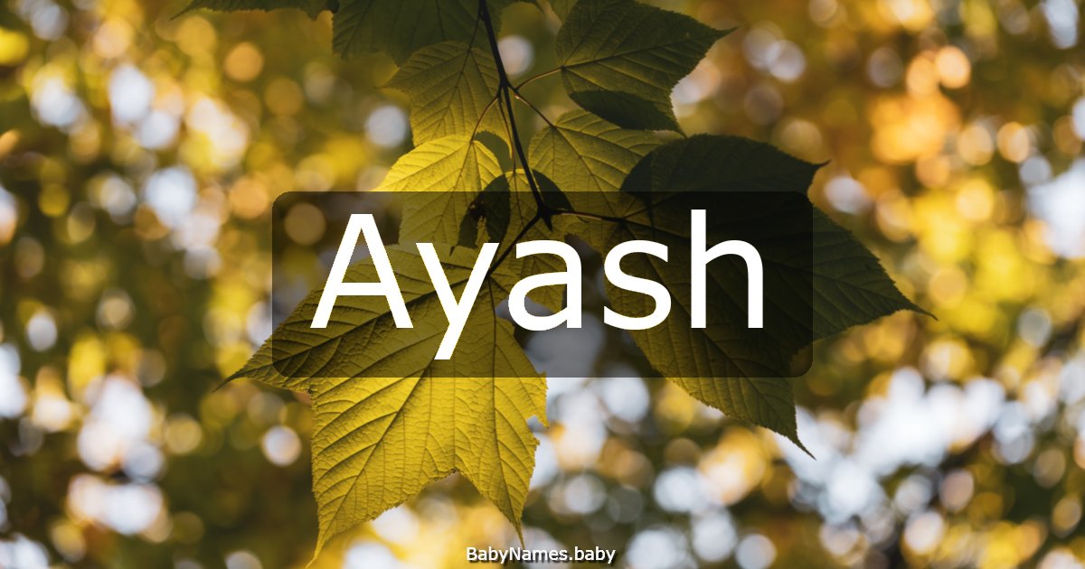 Ayash