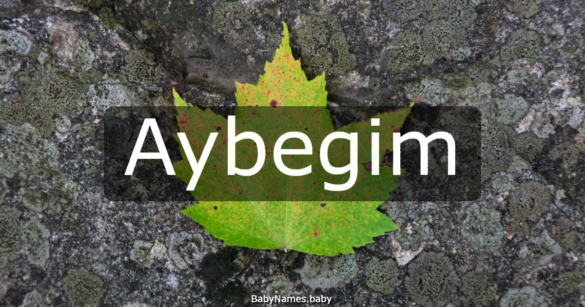 Aybegim